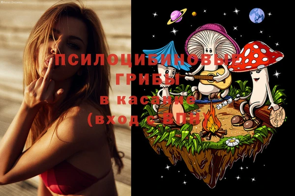 прущая мука Ладушкин