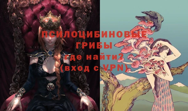 PSILOCYBIN Лагань