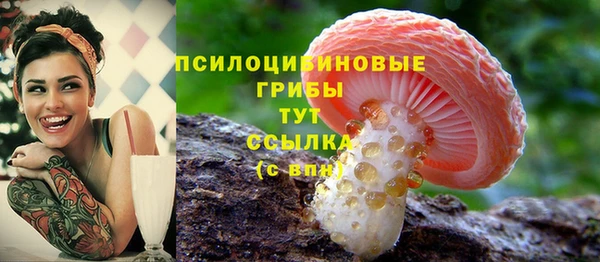 PSILOCYBIN Лагань
