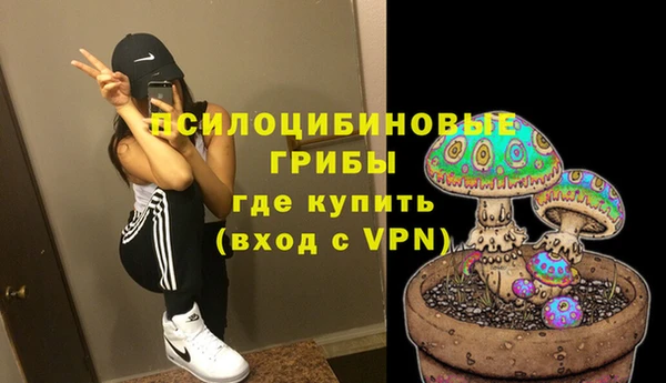 прущая мука Ладушкин