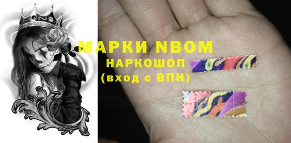 PSILOCYBIN Лагань