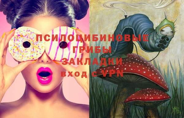 PSILOCYBIN Лагань